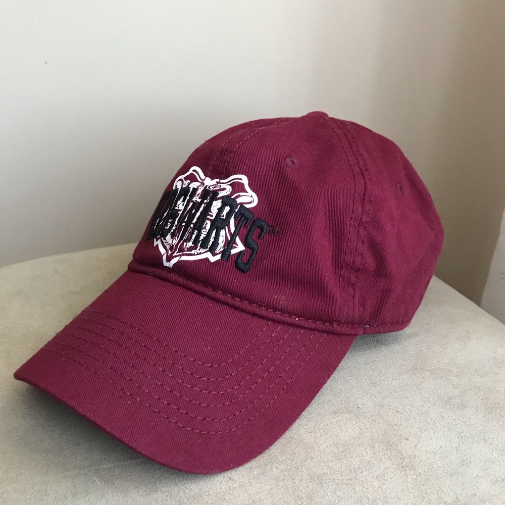 Harry Potter Hogwarts hat